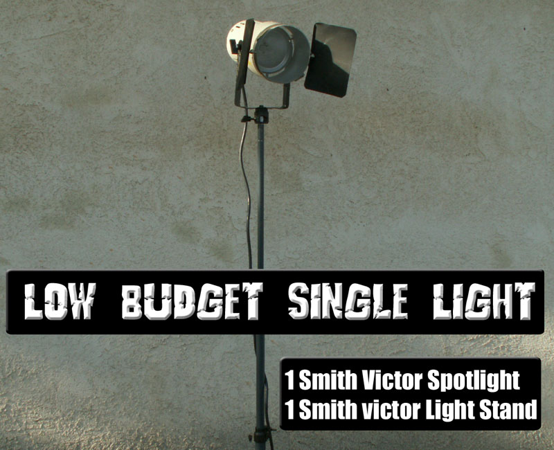 Smith Victor spotlight with diffuser screen and barn 